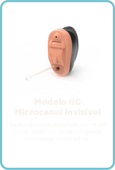MODELO ICC