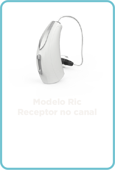MODELO RIC